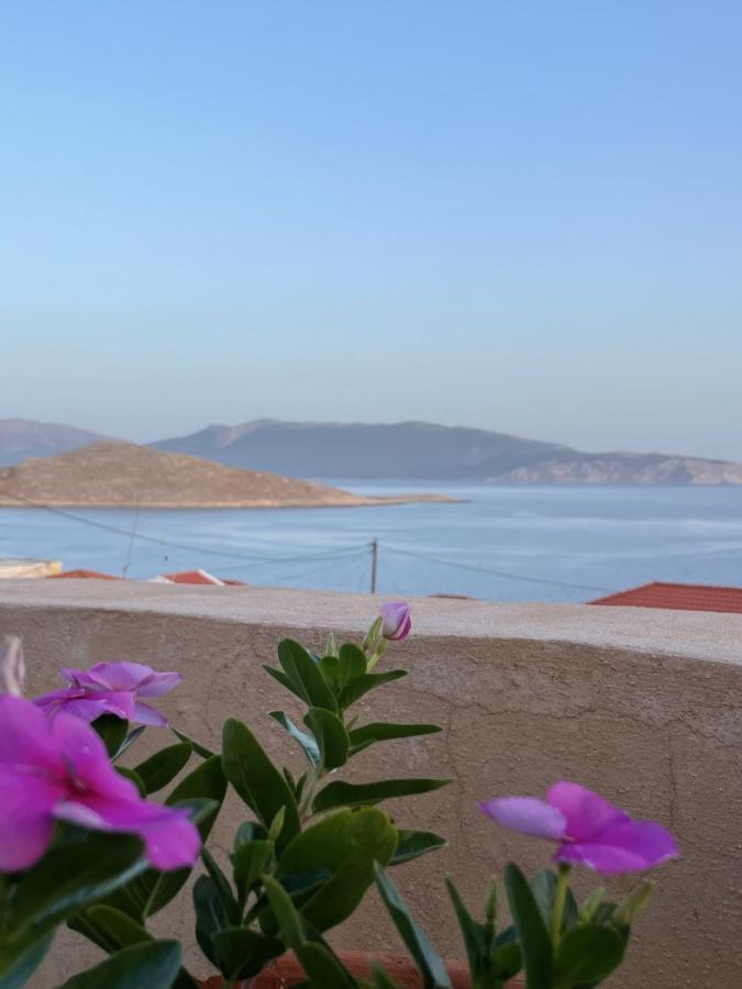 Marina Castellana Studios II Chalki Town Exteriér fotografie